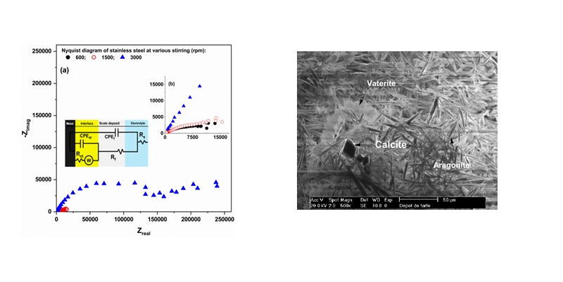 Electrodeposition of CaCO3 on stainless steel 316 L substrate