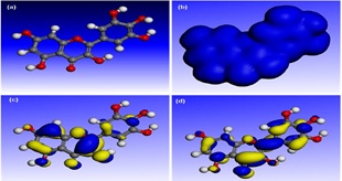DFT and molecular dynamic simulation study on the corrosion inhibition of Aluminum
