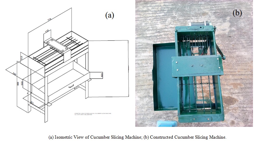 Design, construction and performance evaluation of a cucumber slicing machine