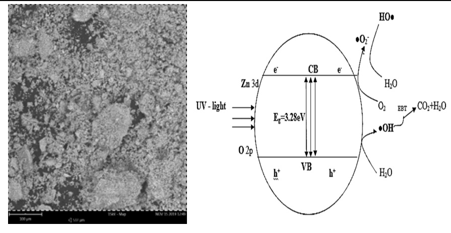 Sol-gel Synthesis of ZnO nanoparticles for optimized photocatalytic  degradation of Eriochrome Black T under UV irradiation