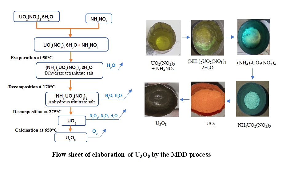 Study of the elaboration of U3O8 by the Modified Direct Denitration process (MDD)