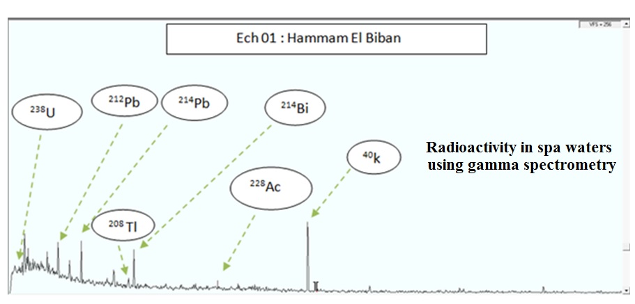 Measurement of radioactivity in spa waters using gamma spectrometry and evaluation of health risks